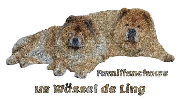 Familienchows us Wässel de Ling